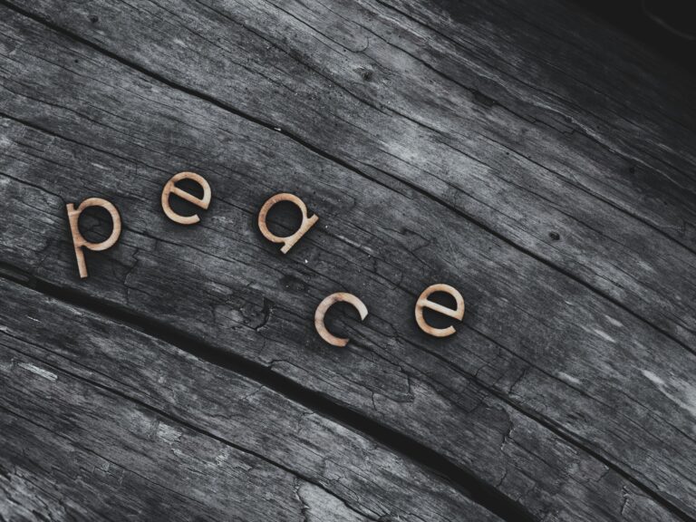 The word "peace" spelled out in small wooden letters on weathered grey driftwood