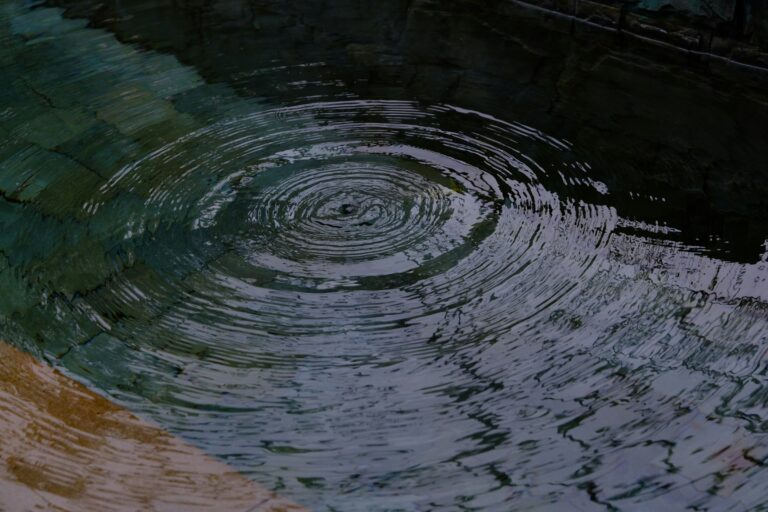 Concentric ripples spreading across dark green water inside a stone well